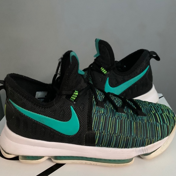 kd 9 birds of paradise